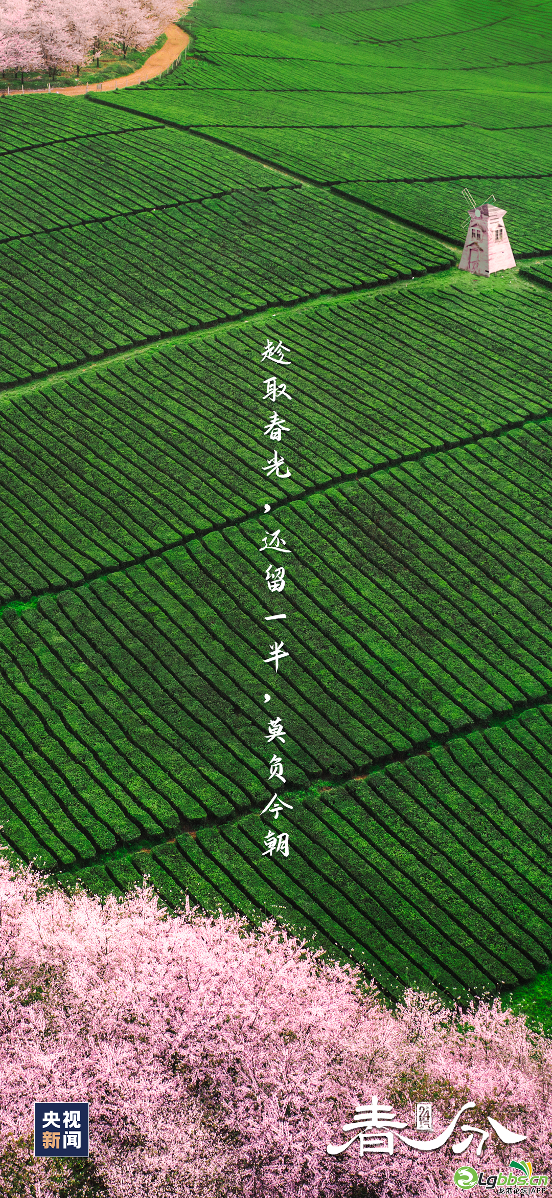 093601icw7cpdttpzvz2dh.png