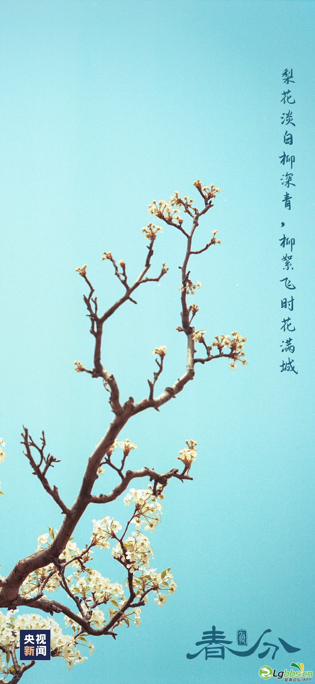 093603dwj0s97gqg2u9xx9.png