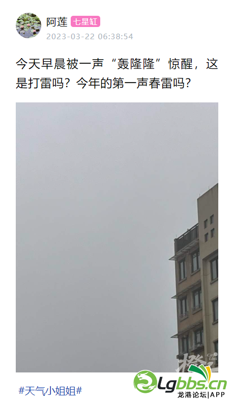 111735mh2az2nglyggwsns.png