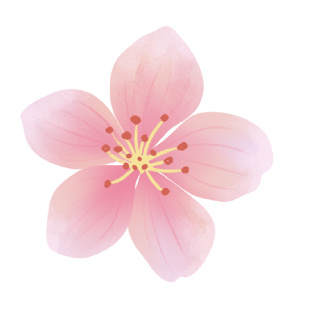 093029oael7mgipglh6mhq.png