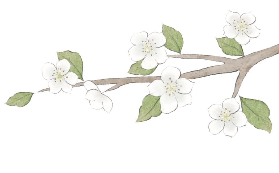 084233fujyi77tosatbo4y.png