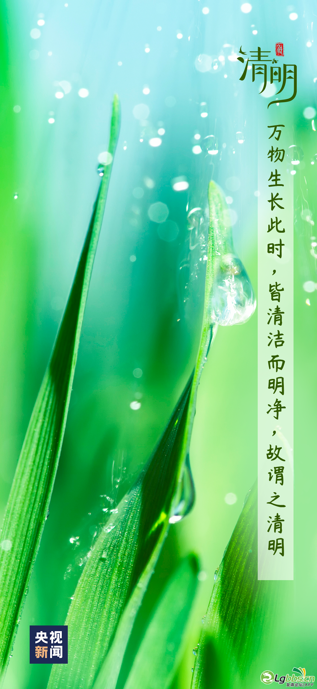 095352ao6ck0vk8bk0b6y2.png