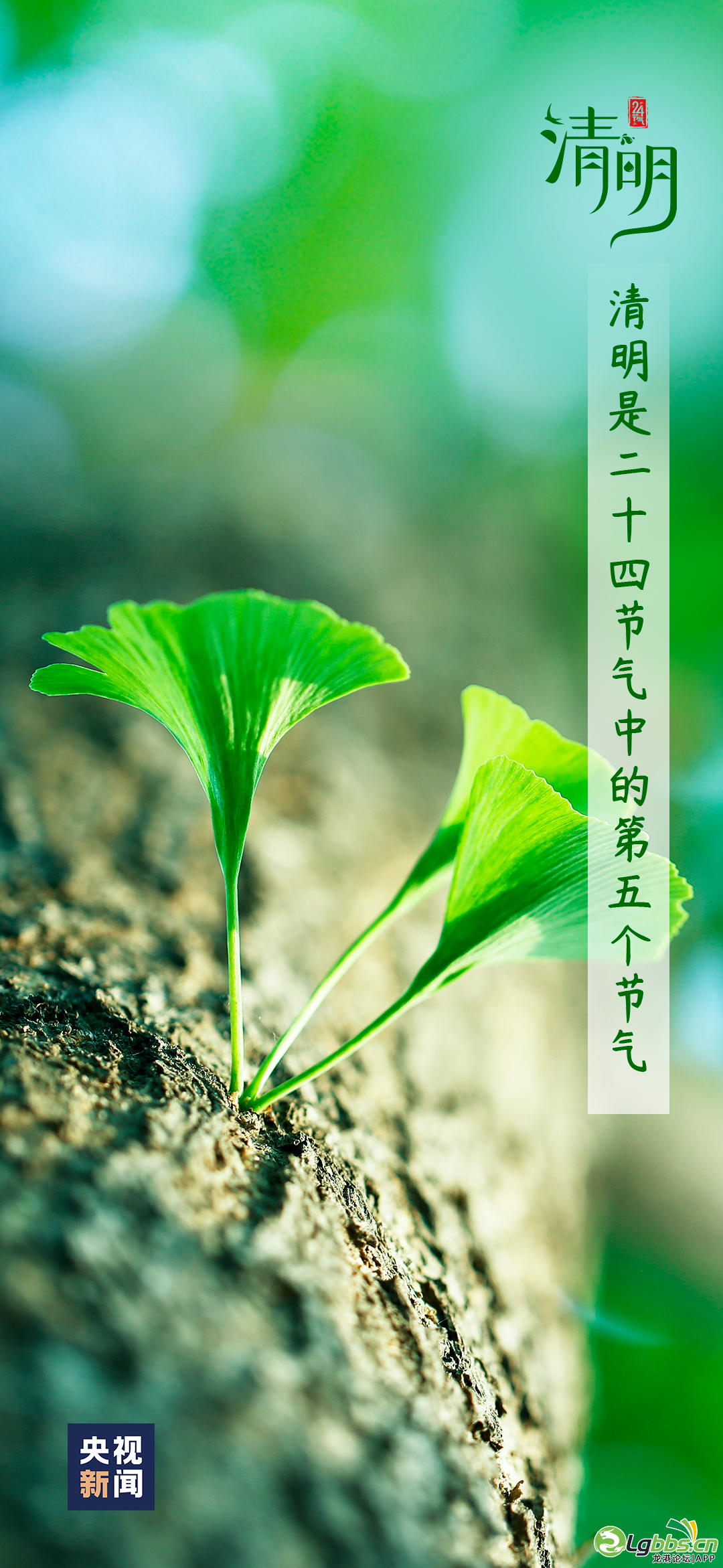 095352zva922z69a9ehy1r.png