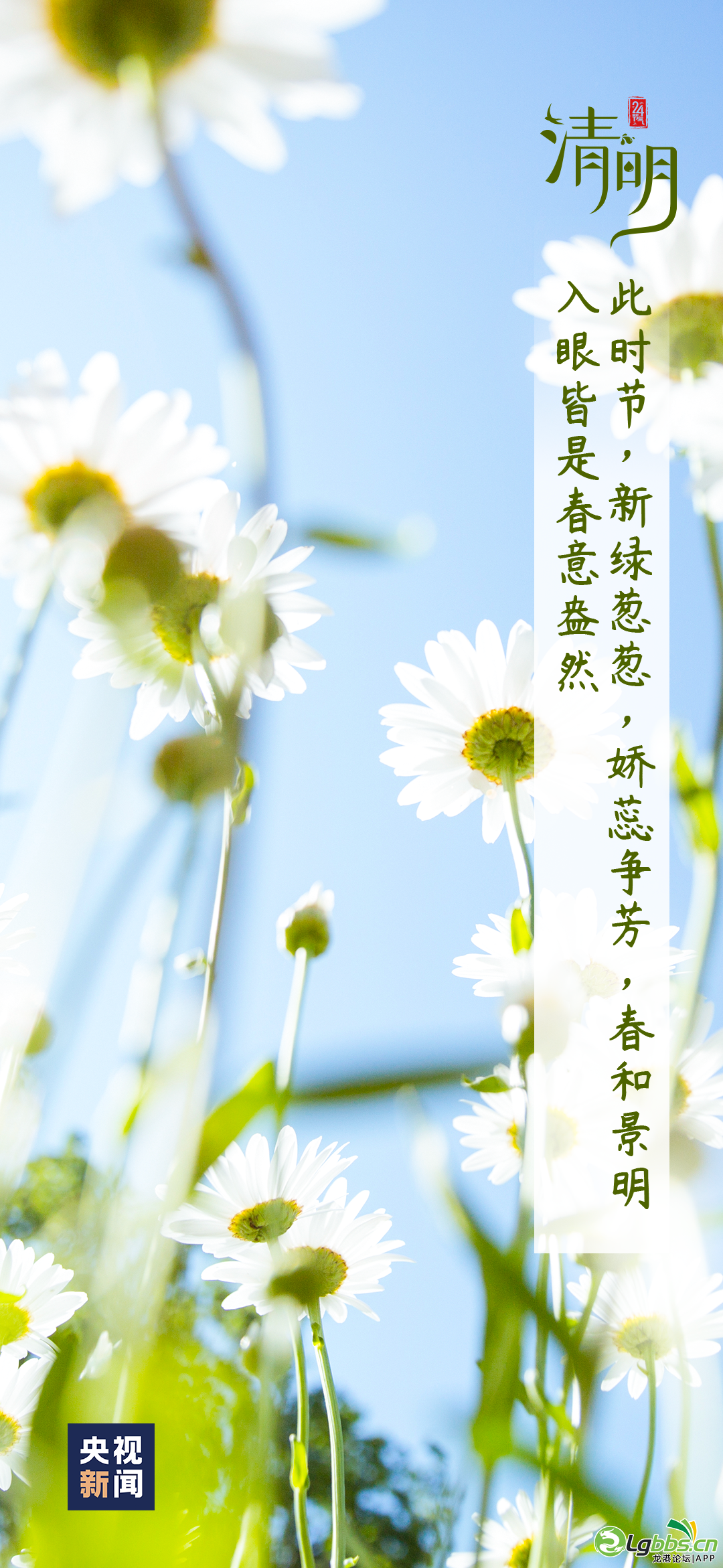 095355ibvohk1vtocsrb7l.png
