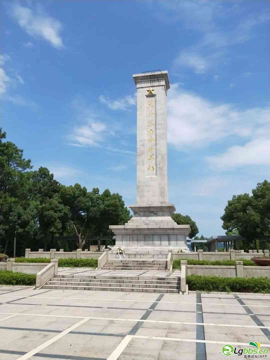 114446b2rrvkzhoohru444.jpeg