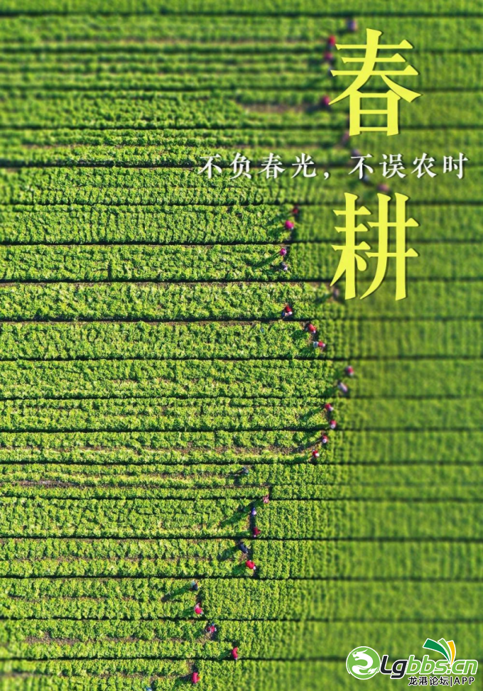 095258ghtp4zc54xnj56an.png