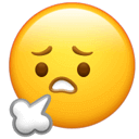 090831m4pp5rr04mhrrrn0.png