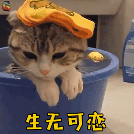 083042bkdjjoaoaj2kjjaa.gif