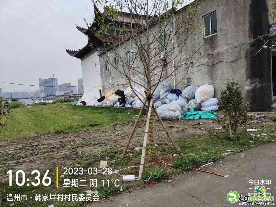 083306u7sm5mxe12jx72ym.jpeg