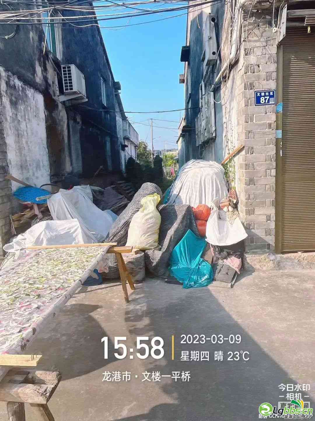 083934qoif5ijrmmcgz3jr.jpeg