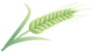 100737pjcmp2mp2pvamwce.png