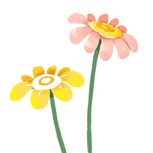 084353syxee50g5y0eefq2.png