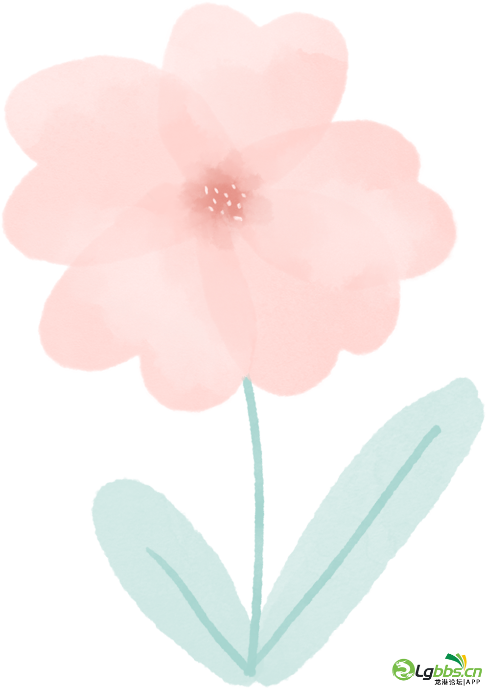 085758szwry8434kuwrark.png