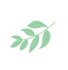 083824w9qxz7qwcejqwcdm.png