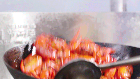 084157p73dso7whz5w3aw7.gif