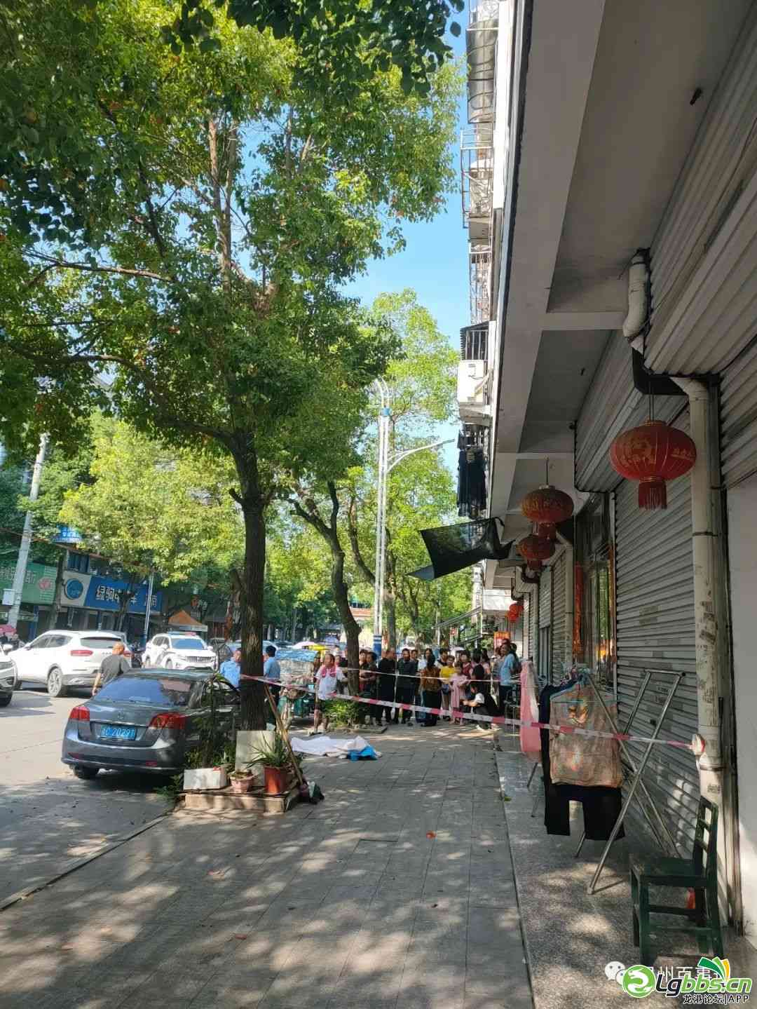 111059ny8ztyu88f3r8dqg.jpeg