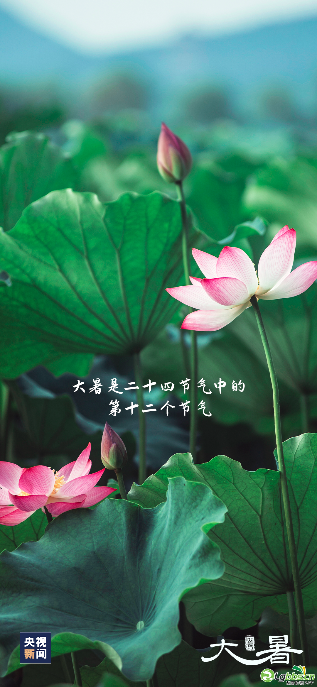 084612bv6jhdn5qdh5u71i.png
