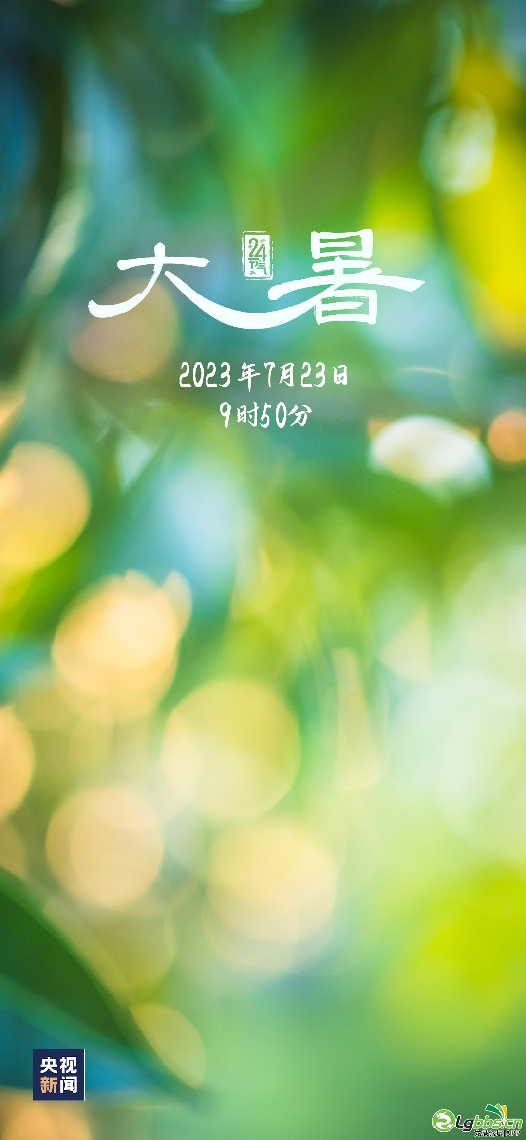 084612lyuujco2uxcphroh.png