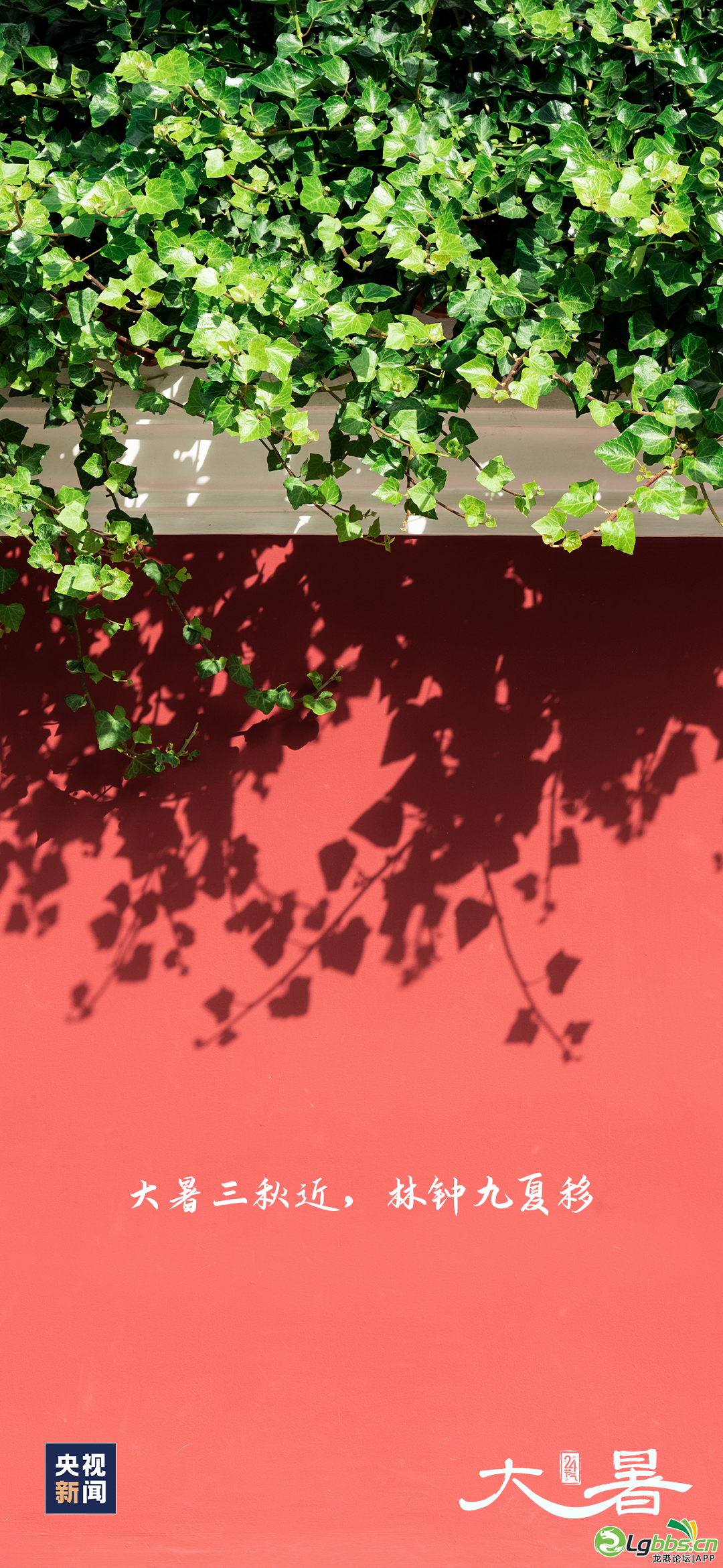 084613yd3ckasicosaacsi.png