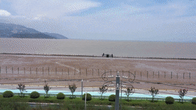 083838vg4988sewskageky.gif