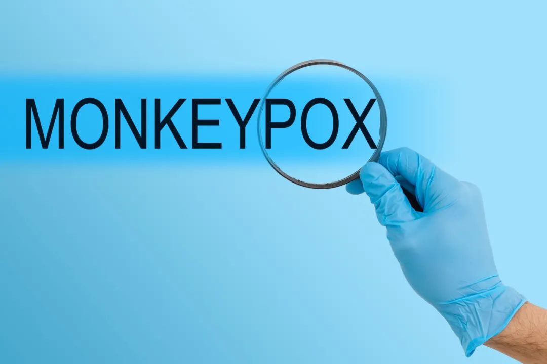 083239p84kb8n2kb4xnw2e.jpeg