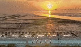 174053m5s3kkrxqkgkzkp5.gif