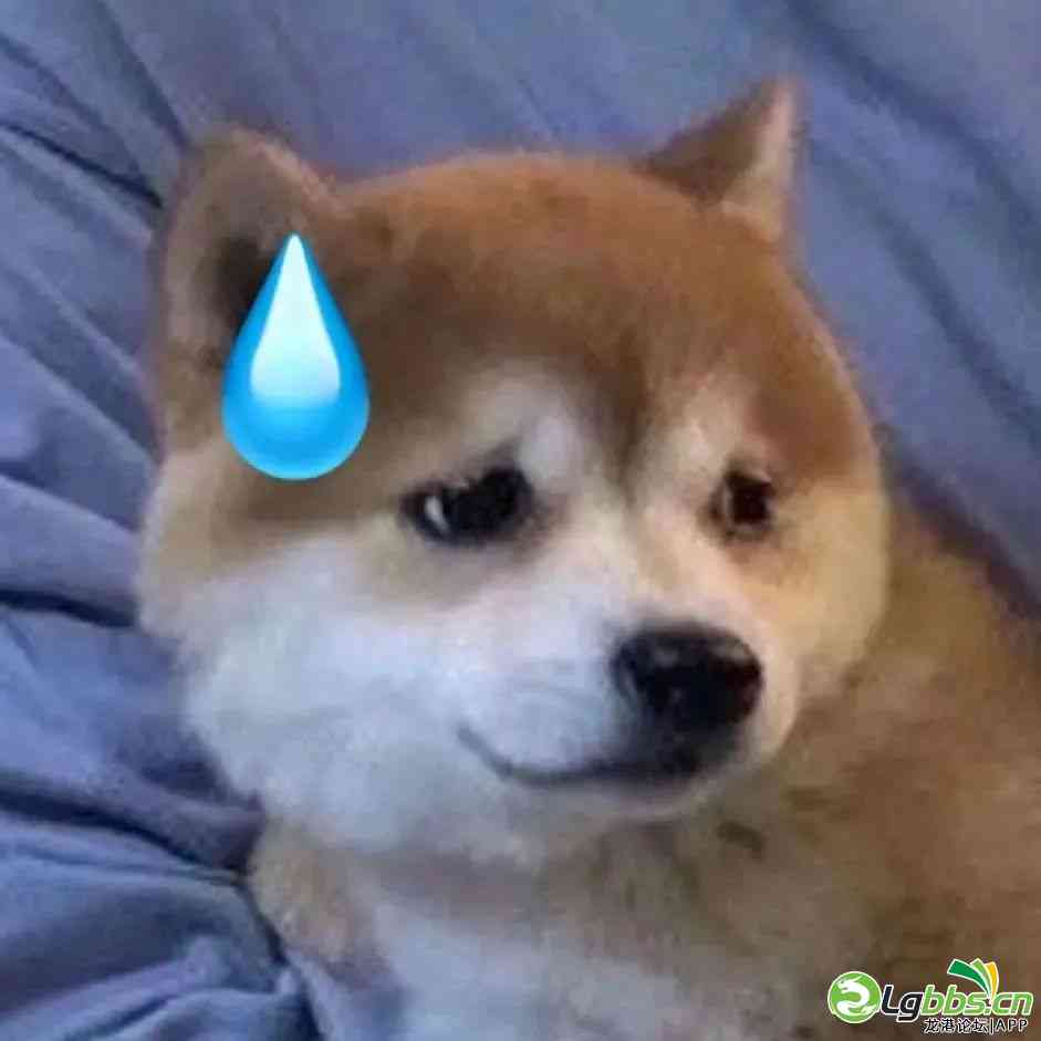103505ymmccuai11f3kuf4.jpeg