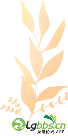 085040a3fc0f385cm0cl30.png