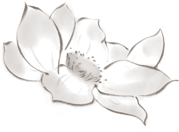 083353lvpd6vau5t8zt4of.png