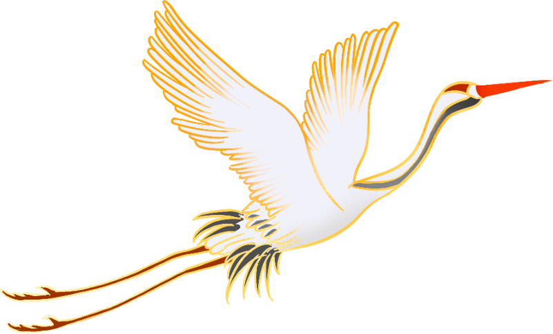 082438osr444r7qrtsr805.png